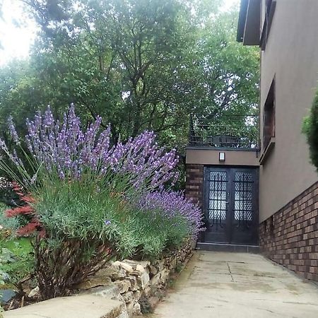 APARTMÁN V ZAHRADĚ PRAHA TROJA - APARTMENT IN THE GARDEN PRAGUE Troja Esterno foto